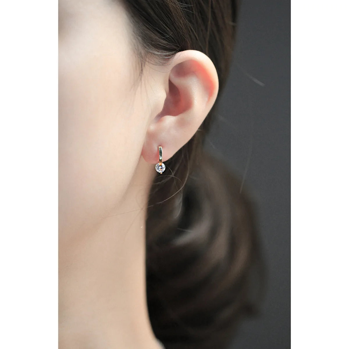 Sophisticated Earrings